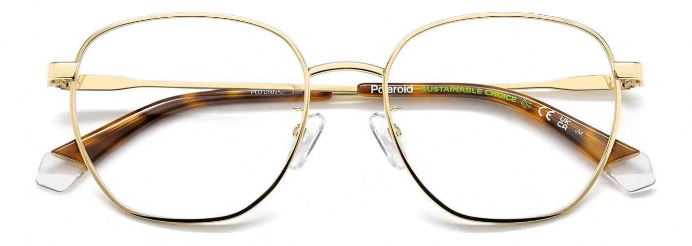 Polaroid Core PLDD509 Eyeglasses - view 11